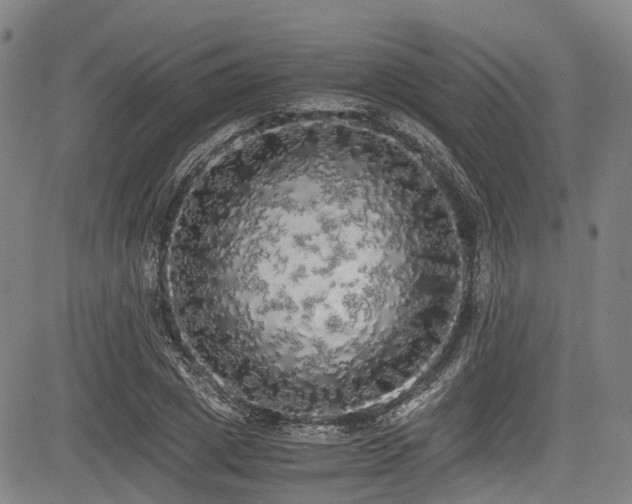 X0000084000833200702161130
