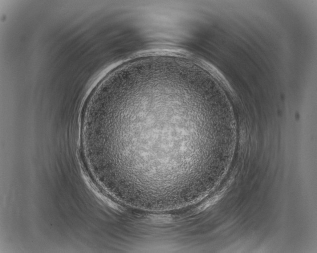 X0000084000844200702161131