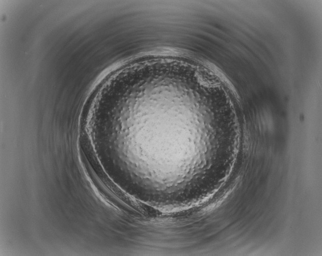 X0000084000845200702161131