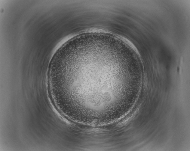 X0000084000847200702161131