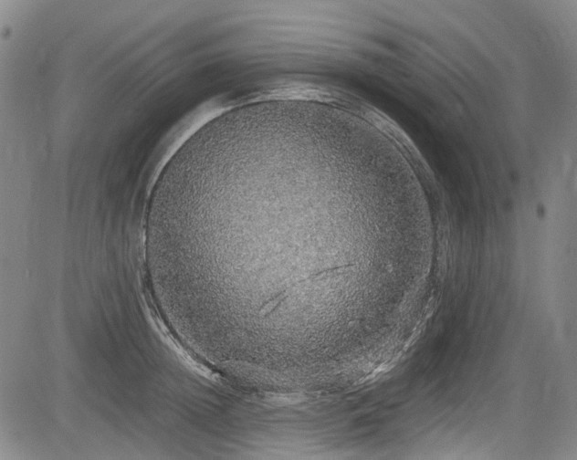 X0000084000852200702161131