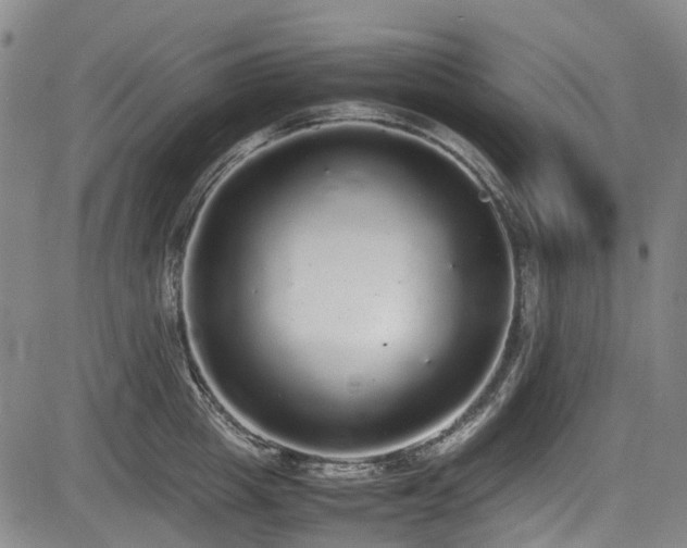 X0000084000857200702161131