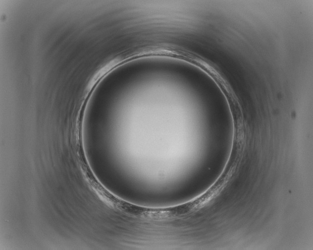 X0000084000858200702161131