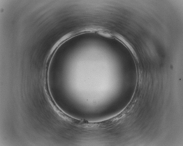 X0000084000861200702161131