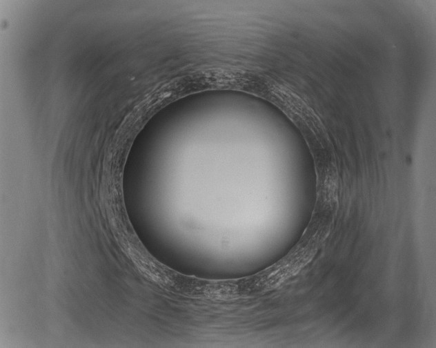 X0000084000865200702161130