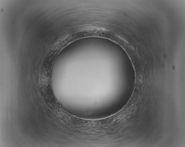 X0000084000869200702161130