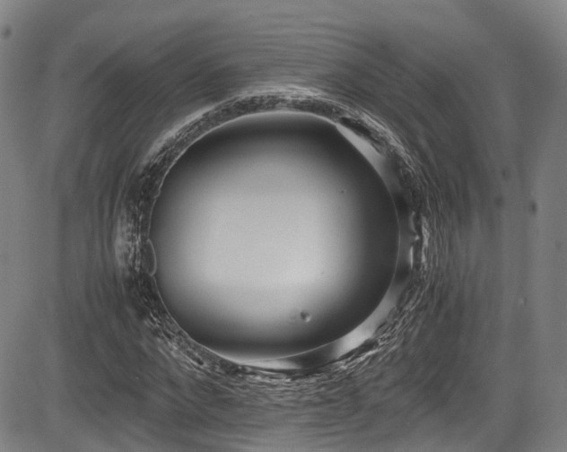 X0000084000872200702161130