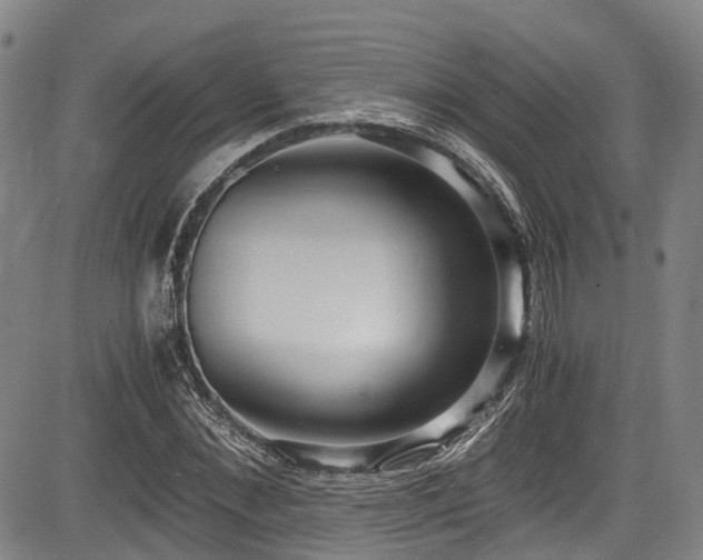 X0000084000876200702161130