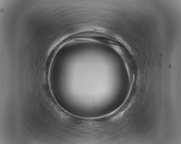 X0000084000877200702161130
