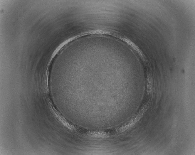 X0000084000886200702161130