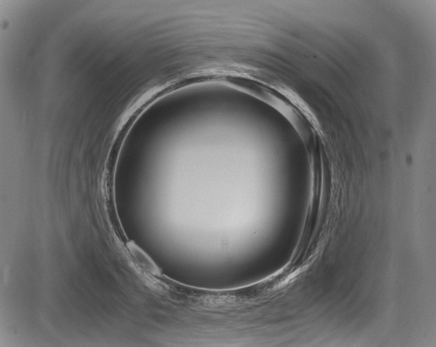 X0000084000893200702161130