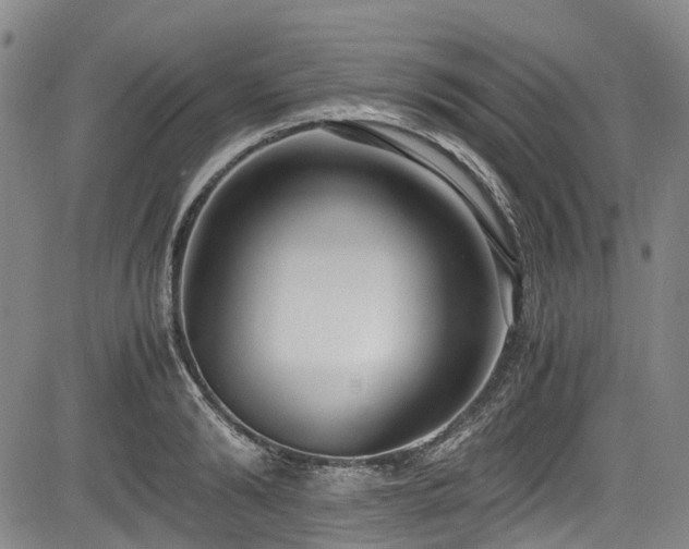 X0000084000894200702161130