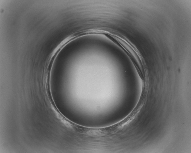 X0000084000909200702161129