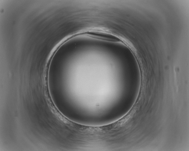 X0000084000912200702161129
