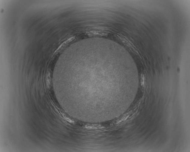 X0000084000915200702161129