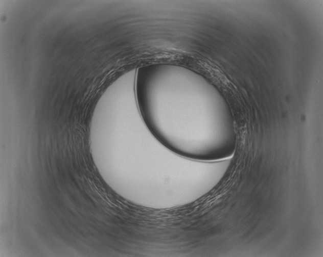 X0000084000916200702161129