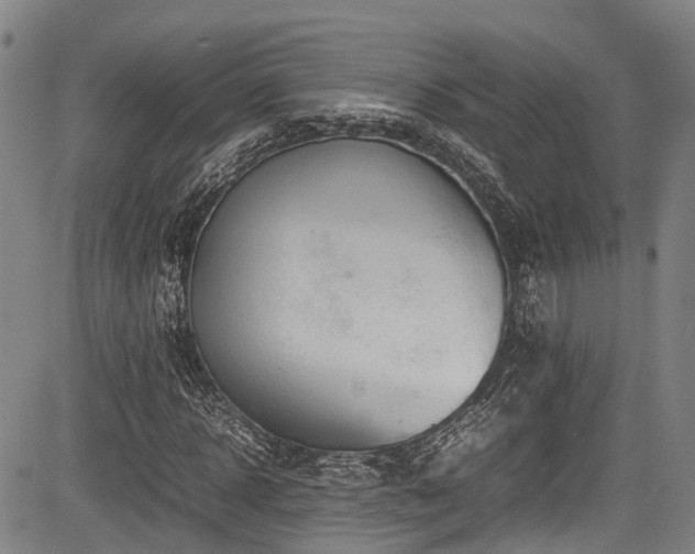 X0000084000918200702161129