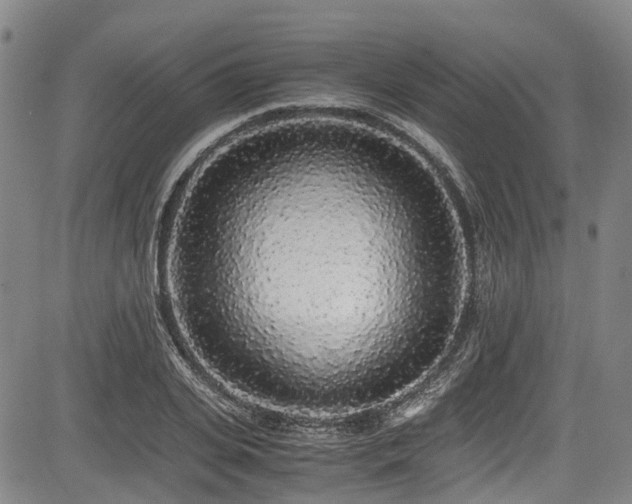 X0000084000935200702161129