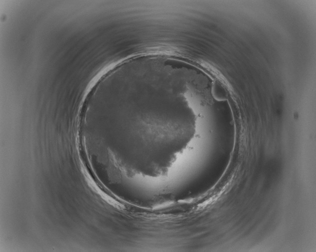 X0000084000941200702161129