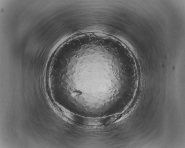 X0000084000949200702161129