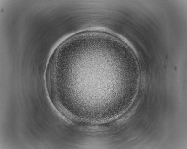 X0000084000959200702161129