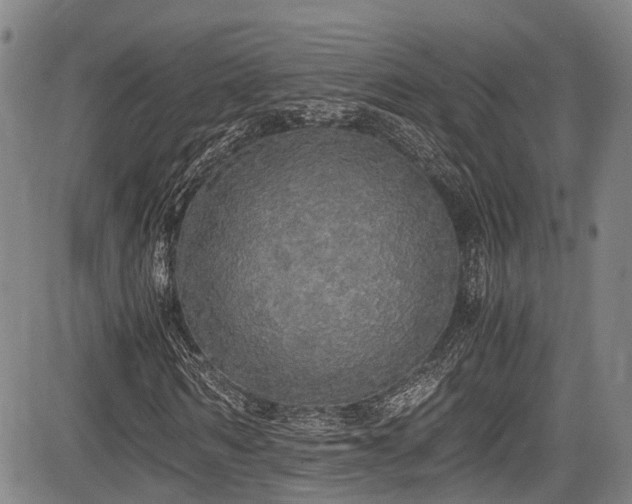 X0000084000962200702161128