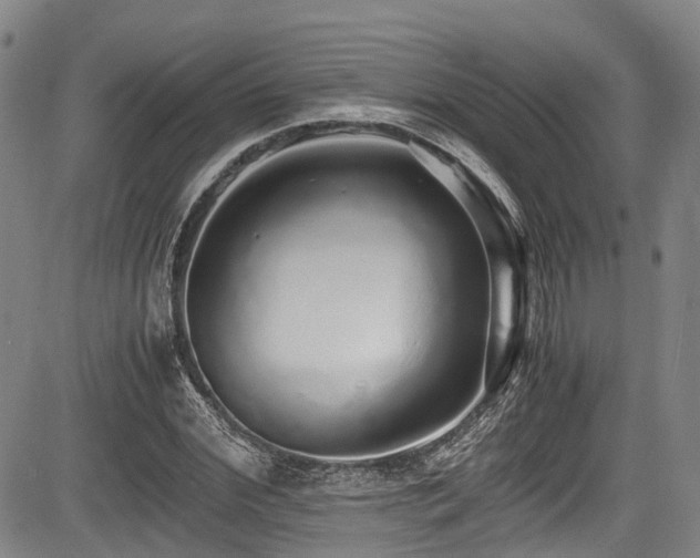 X0000084000972200702161128