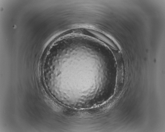 X0000084000983200702161128