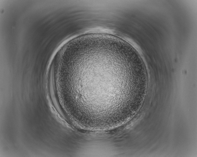 X0000084001008200702161128