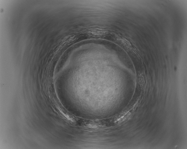 X0000084001009200702161127