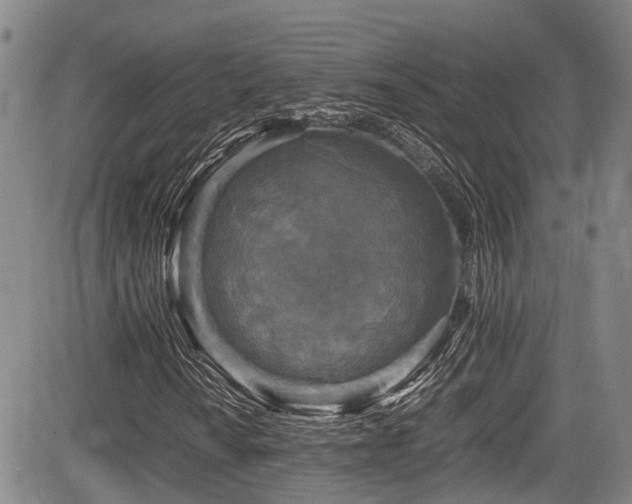 X0000084001010200702161127