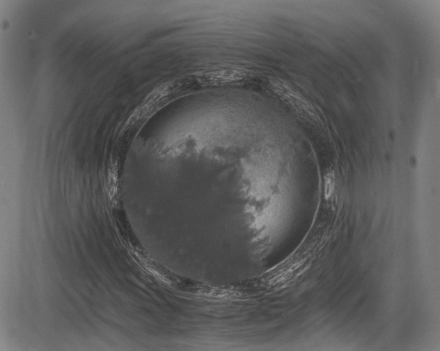 X0000084001011200702161127