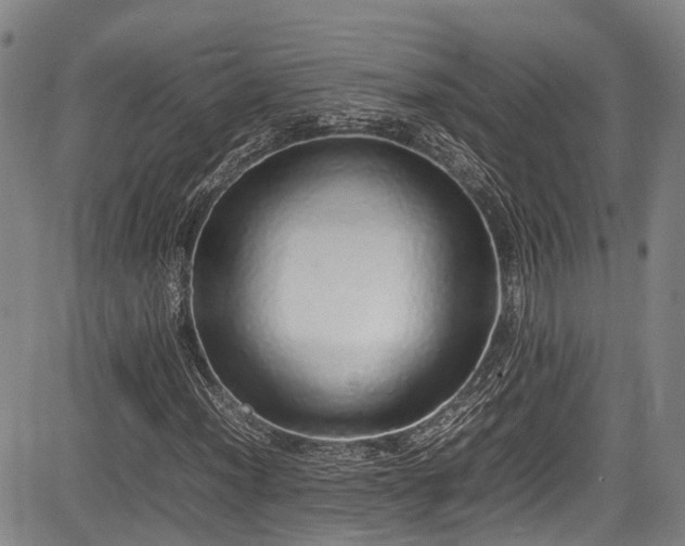 X0000084001012200702161127