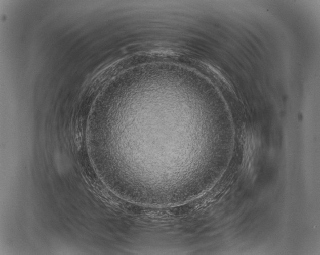 X0000084001015200702161127