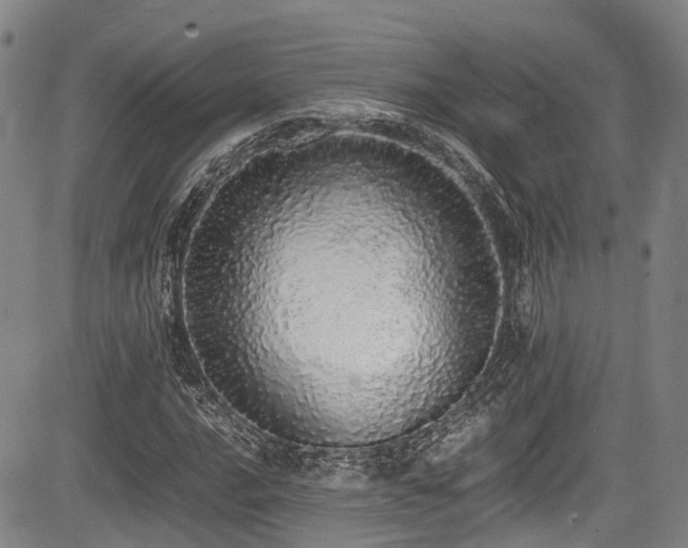 X0000084001016200702161127