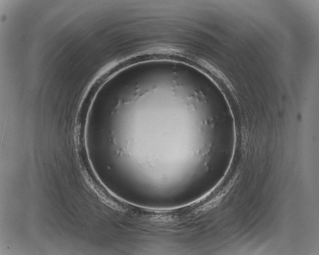 X0000084001029200702161127