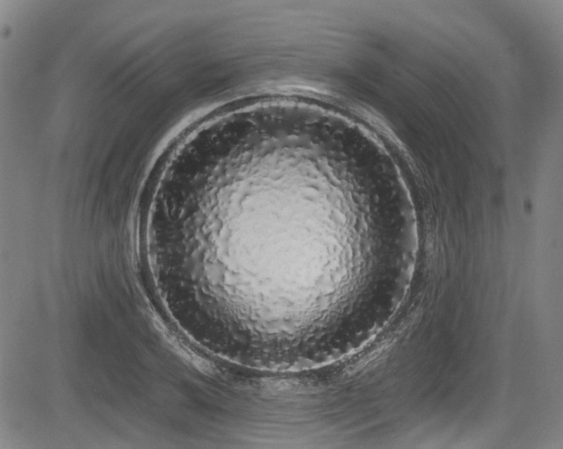 X0000084001032200702161127