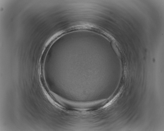X0000084001034200702161127