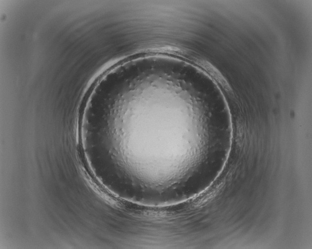 X0000084001036200702161127