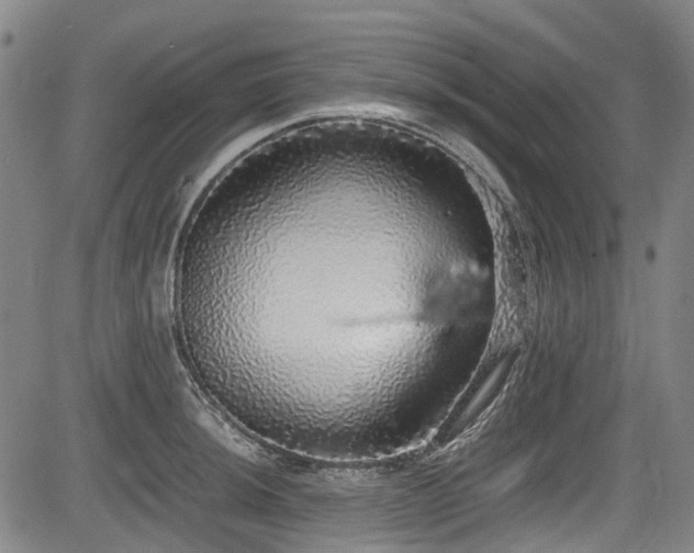 X0000084001044200702161128