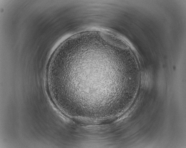 X0000084001048200702161128