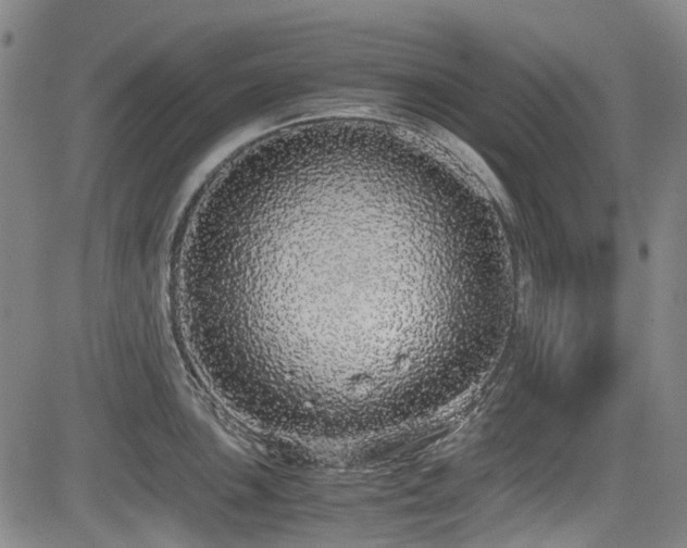 X0000084001051200702161128