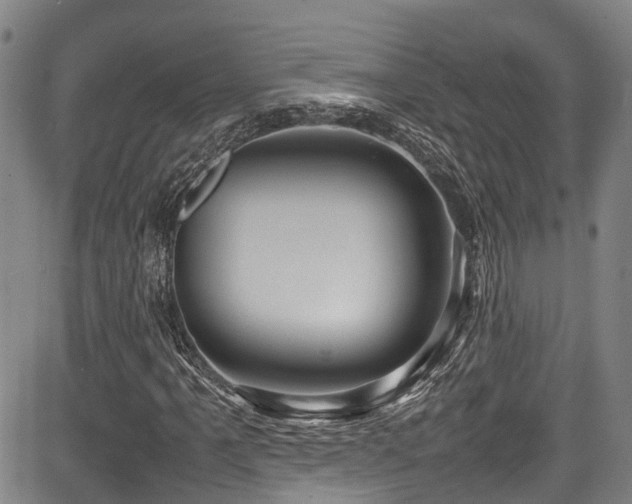 X0000084001061200702161127