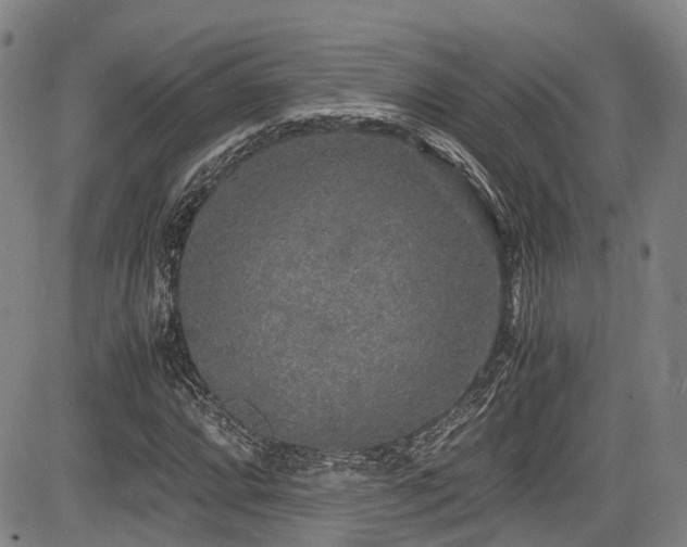 X0000084001064200702161127