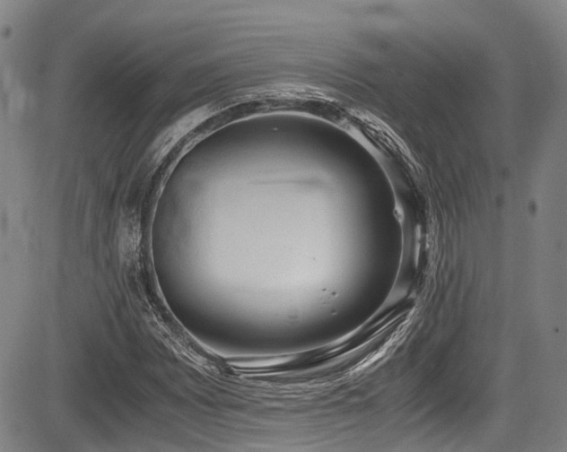 X0000084001065200702161127
