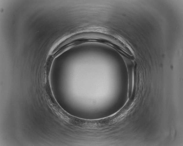 X0000084001069200702161127