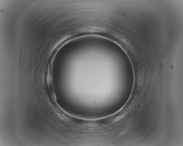 X0000084001073200702161127