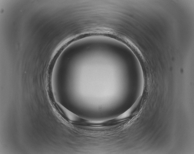 X0000084001085200702161126