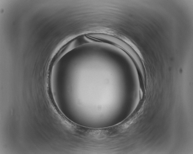 X0000084001093200702161126