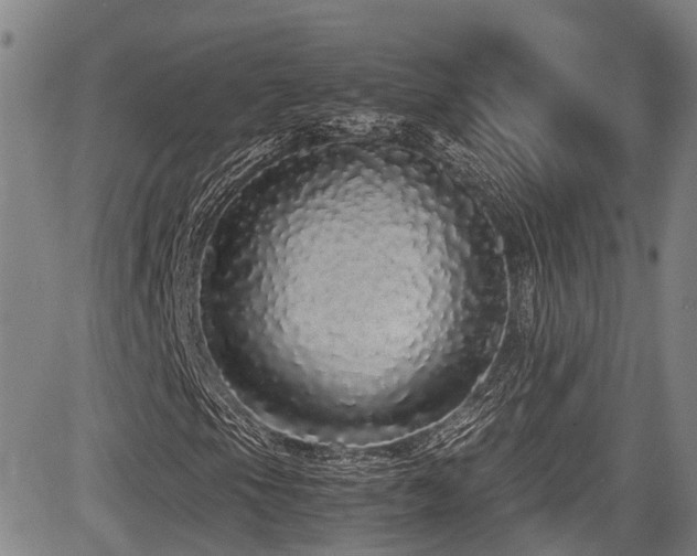 X0000084001105200702161125